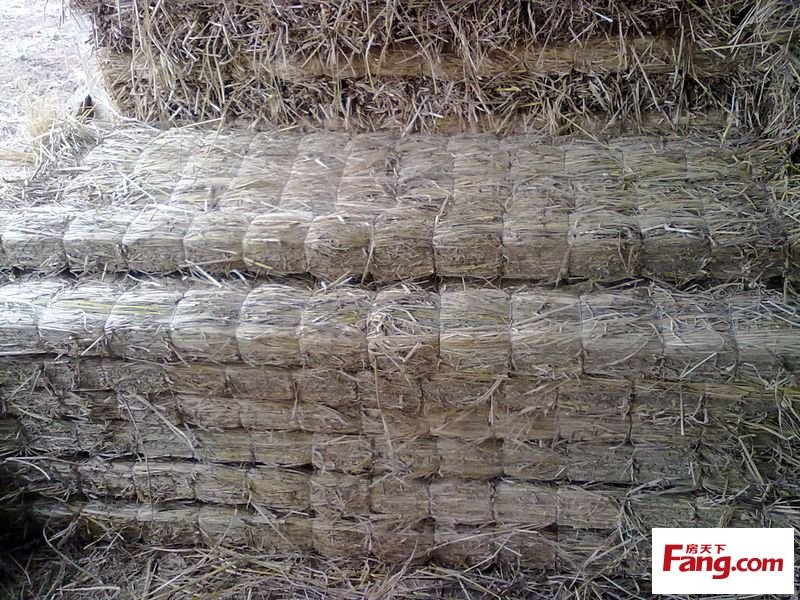 鐵路 貨運(yùn) 物流 條形草支墊供應(yīng)