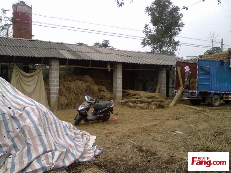 鐵路 貨運(yùn) 物流 條形草支墊供應(yīng)