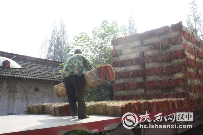 6即將運(yùn)往外地的草支墊