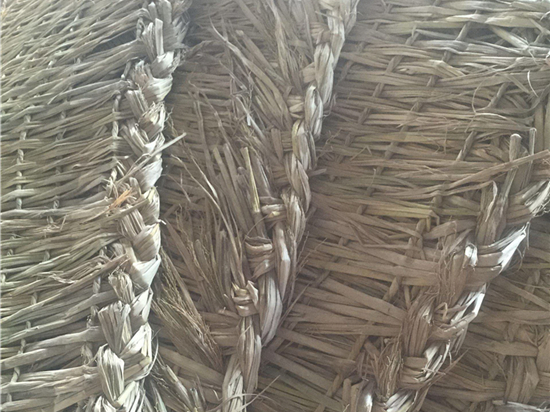以綠化草袋為起點(diǎn)，打造生態(tài)友好型城市