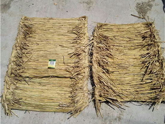 防汛草袋不僅是一道屏障，也是一種文化