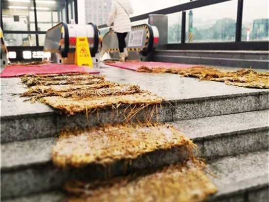 美麗城市的秘密武器:綠化草袋建設(shè)和諧人居環(huán)境的新希望 美麗城市的秘密武器:綠化草袋建設(shè)和諧人居環(huán)境的新希望