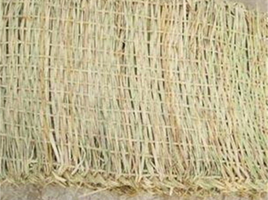 綠化草袋：點(diǎn)亮城市，追尋綠色夢(mèng)想