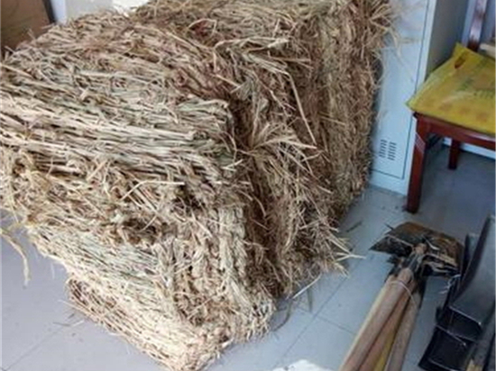 綠色城市的新希望:探索綠化草袋的潛力 綠色城市的新希望:探索綠化草袋的潛力