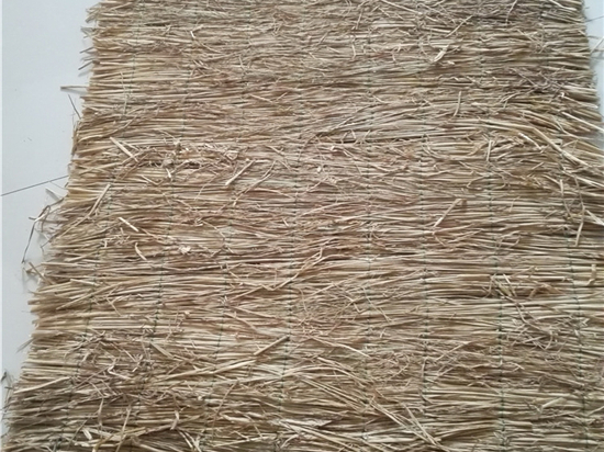草苫加工技術(shù):解決農(nóng)業(yè)廢棄物處理難題的利器 草苫加工技術(shù):解決農(nóng)業(yè)廢棄物處理難題的利器