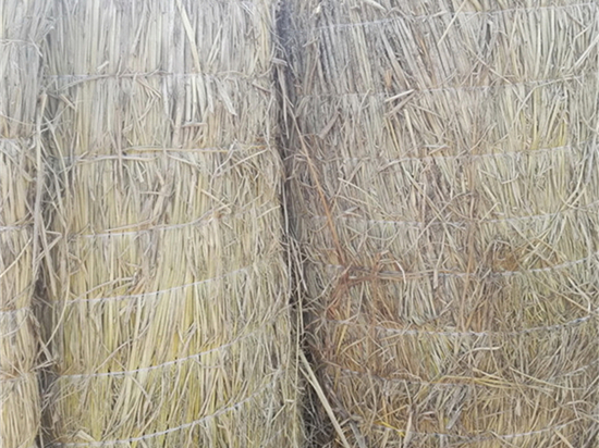 鐵路草苫：交通發(fā)展格局，推動(dòng)經(jīng)濟(jì)社會(huì)高質(zhì)量發(fā)展！