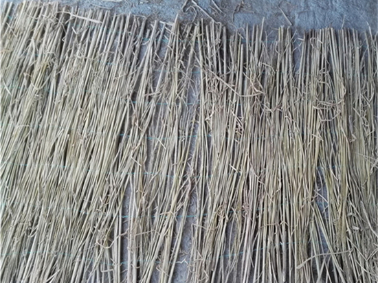 草苫種植與采集的合理規(guī)劃與管理！