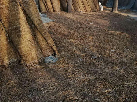 農(nóng)田覆蓋草苫規(guī)格選擇技巧：如何根據(jù)土地大小和作物類型來選購？