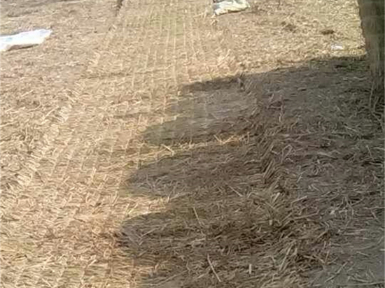 鋪路草苫:打造美麗環(huán)境的綠色道路材料 鋪路草苫:打造美麗環(huán)境的綠色道路材料