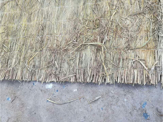 草苫規(guī)格選擇心得分享：從尺寸到材質(zhì)，一網(wǎng)打盡