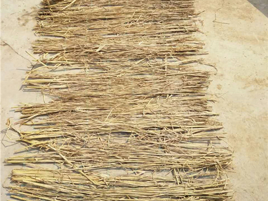草苫加工技術:為農業(yè)綠色發(fā)展注入新動力 草苫加工技術:為農業(yè)綠色發(fā)展注入新動力