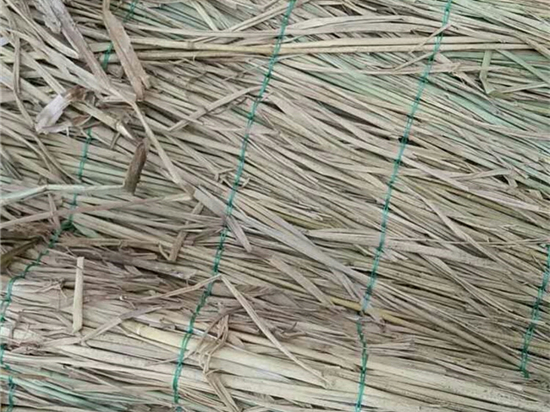 選購(gòu)草苫的成功秘訣：從規(guī)格選擇到使用建議，全程解讀