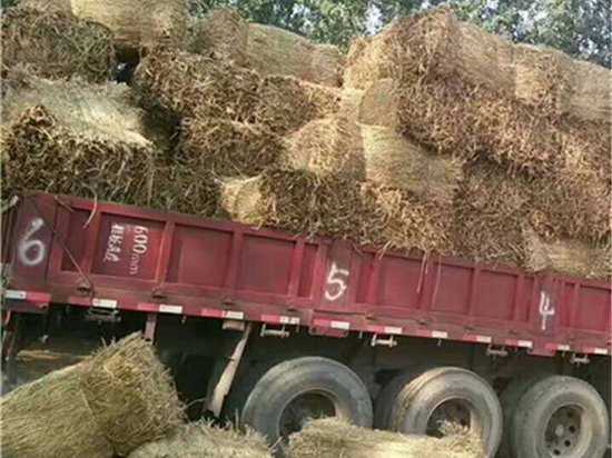 如何判斷草簾廠的專業(yè)程度？