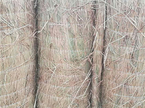 煤礦草苫對礦井溫度的調(diào)控作用新發(fā)現(xiàn) 煤礦草苫對礦井溫度的調(diào)控作用新發(fā)現(xiàn)