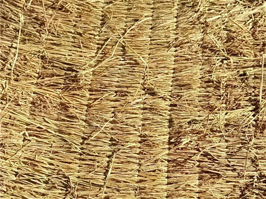 草簾廠家解讀:鐵路裝載規(guī)范 草簾廠家解讀:鐵路裝載規(guī)范