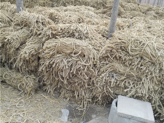 草繩在內(nèi)蒙防風(fēng)治沙中的景觀優(yōu)化作用