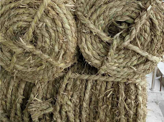 內(nèi)蒙防風(fēng)治沙草繩廠家的發(fā)展趨勢