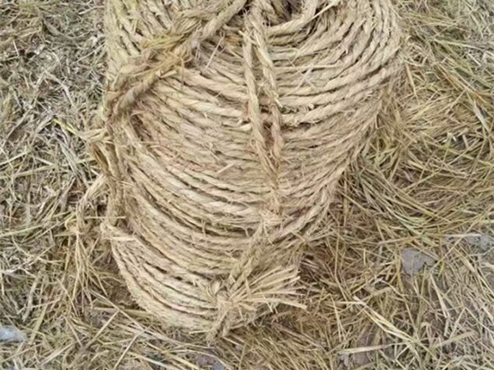 內(nèi)蒙防風(fēng)治沙草繩廠家的發(fā)展趨勢(shì) 內(nèi)蒙防風(fēng)治沙草繩廠家的發(fā)展趨勢(shì)