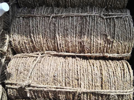 草繩在園林綠化中的技術(shù)創(chuàng)新與發(fā)展