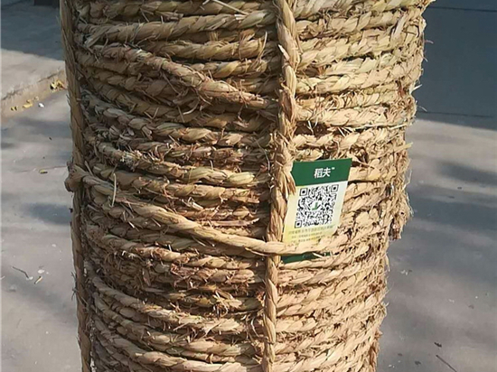 草繩在設(shè)備包裝中的應(yīng)用前景
