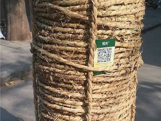 防滑管樁草繩在設(shè)備包裝中的作用與價值 防滑管樁草繩在設(shè)備包裝中的作用與價值