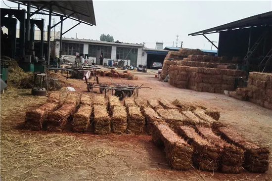 防滑草支墊廠家 鋼廠鐵路裝載安全的守護者(草坪防滑墊)