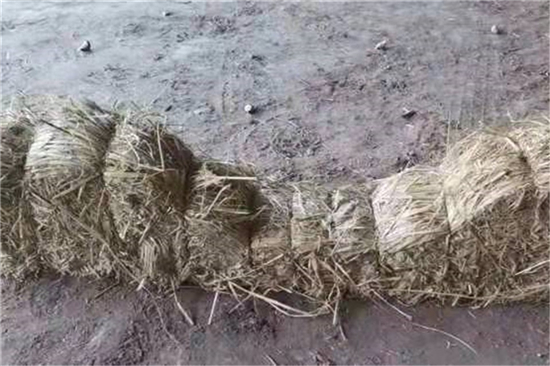 稻夫草支墊在鐵路貨物運(yùn)輸中的加固作用(稻草墊厚度不得小于且壓實(shí)后不得小于10mm) 稻夫草支墊在鐵路貨物運(yùn)輸中的加固作用(稻草墊厚度不得小于且壓實(shí)后不得小于10mm)