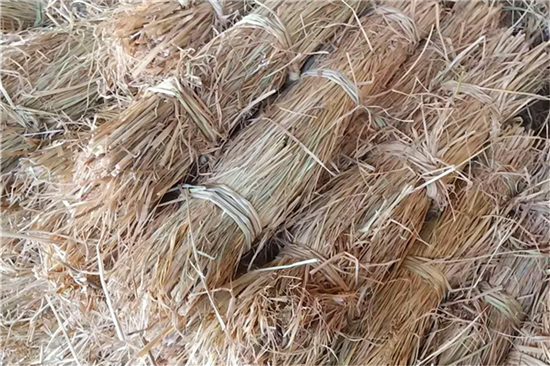 探究防滑草支墊在鋼廠鐵路裝載中的重要作用(探究防滑草支墊在鋼廠鐵路裝載中的重要作用) 探究防滑草支墊在鋼廠鐵路裝載中的重要作用(探究防滑草支墊在鋼廠鐵路裝載中的重要作用)