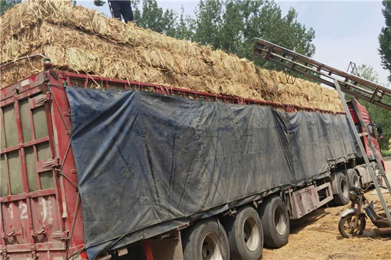 防滑草支墊在鋼廠鐵路裝載中的實(shí)踐與探討(防滑草墊在哪里有賣) 防滑草支墊在鋼廠鐵路裝載中的實(shí)踐與探討(防滑草墊在哪里有賣)