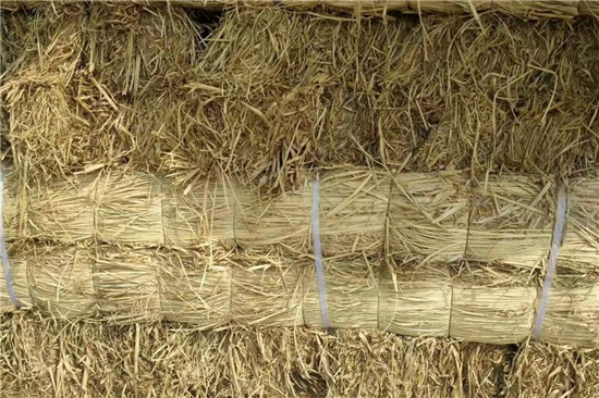 凹型草支墊:綠色防滑材料的選擇與應(yīng)用 凹型草支墊:綠色防滑材料的選擇與應(yīng)用