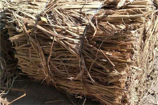 鋼廠鐵路運輸防滑加固稻夫草支墊的行業(yè)動態(tài)(稻草防腐)