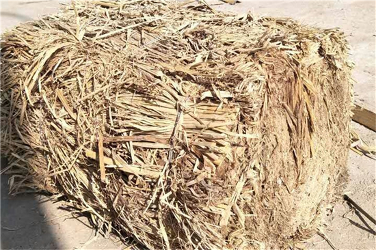 鐵路草支墊在海岸防護(hù)工程中的運(yùn)用效果分析 鐵路草支墊在海岸防護(hù)工程中的運(yùn)用效果分析