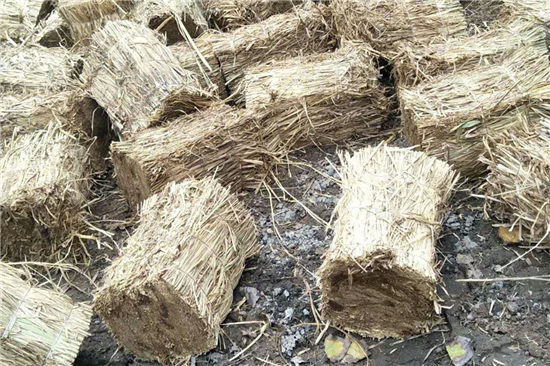 防滑草支墊在鋼廠鐵路裝載中的創(chuàng)新與應(yīng)用 防滑草支墊在鋼廠鐵路裝載中的創(chuàng)新與應(yīng)用