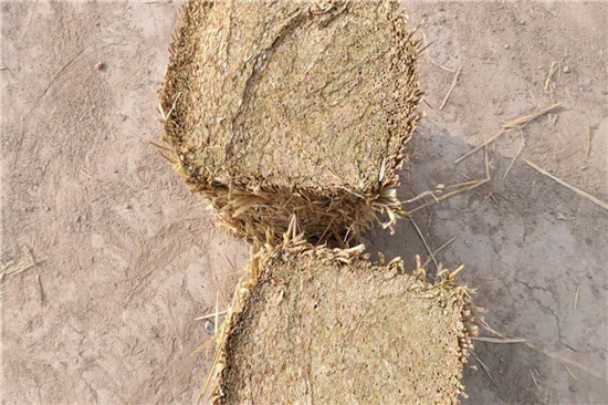 稻夫草支墊在鐵路貨運(yùn)中的安全保障作用 稻夫草支墊在鐵路貨運(yùn)中的安全保障作用
