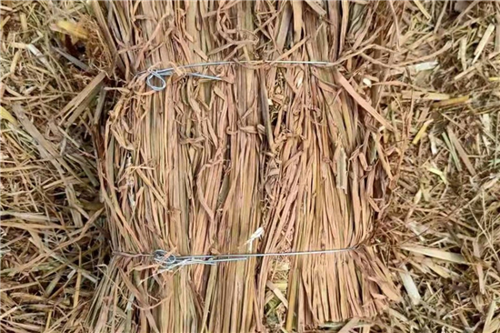 稻夫草支墊 鐵路運(yùn)輸安全的綠色保障(稻夫草編制品)