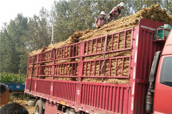 卷鋼草支墊的安裝與維護(hù) 卷鋼草支墊的安裝與維護(hù)