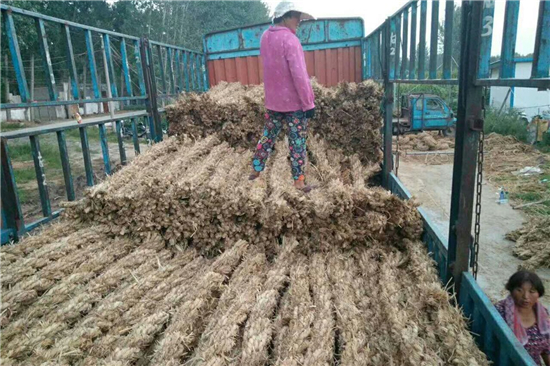 鐵路鋼廠裝載加固 防滑草支墊的選擇與應(yīng)用(鐵路鋼廠裝載加固 防滑草支墊的選擇與應(yīng)用論文) 鐵路鋼廠裝載加固 防滑草支墊的選擇與應(yīng)用(鐵路鋼廠裝載加固 防滑草支墊的選擇與應(yīng)用論文)