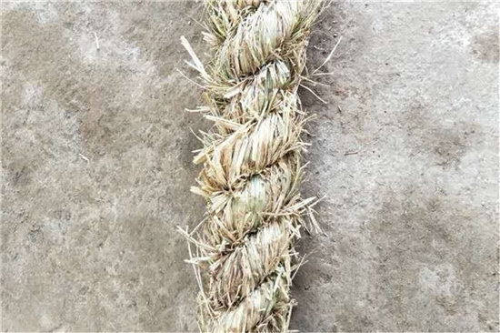 鐵路草支墊在海岸防護(hù)工程中的運(yùn)用效果分析 鐵路草支墊在海岸防護(hù)工程中的運(yùn)用效果分析