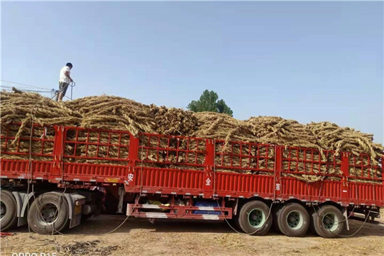 鋼廠鐵路裝載加固防滑草支墊的案例分析 鋼廠鐵路裝載加固防滑草支墊的案例分析