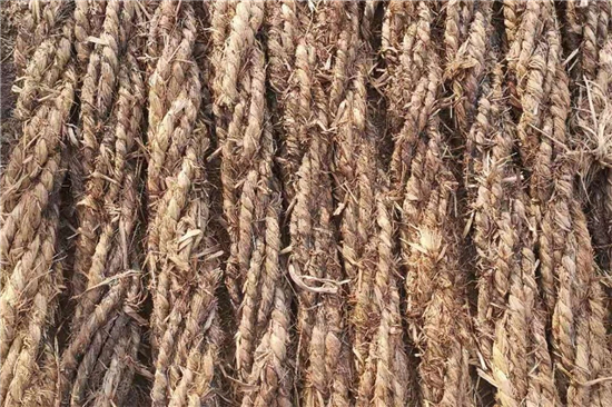 卷鋼草支墊的安裝與維護(hù) 卷鋼草支墊的安裝與維護(hù)