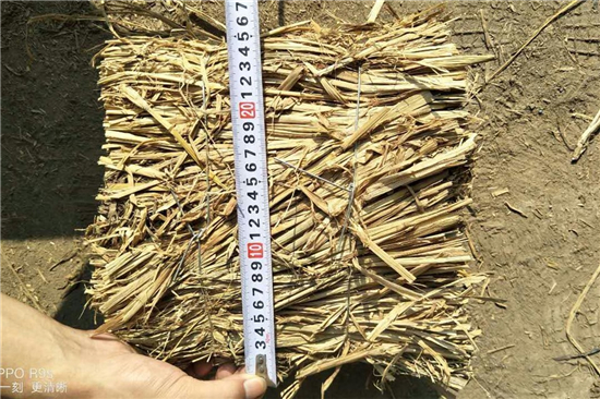 鋼廠鐵路裝載防滑草支墊的環(huán)保效益(防滑草繩捆扎方法) 鋼廠鐵路裝載防滑草支墊的環(huán)保效益(防滑草繩捆扎方法)