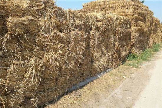 鐵路鋼廠裝載防滑草支墊廠家 專注產(chǎn)品質(zhì)量(唐山鐵路用草支墊廠家) 鐵路鋼廠裝載防滑草支墊廠家 專注產(chǎn)品質(zhì)量(唐山鐵路用草支墊廠家)