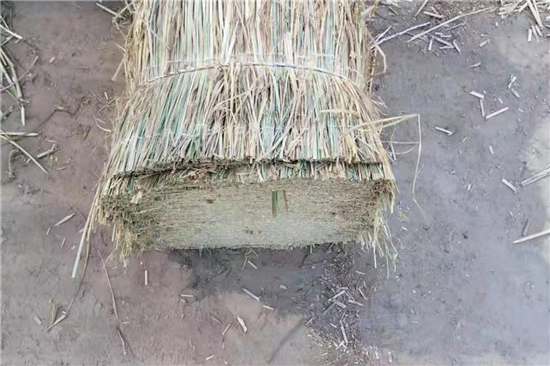 鐵路鋼廠如何選用合適的防滑草支墊？(防滑草墊子)