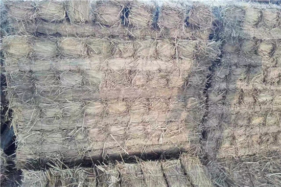防滑草支墊在鋼廠鐵路裝載中的應(yīng)用研究