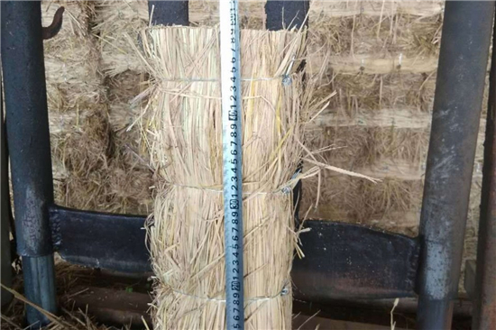 鋼廠鐵路運輸防滑加固稻夫草支墊的質(zhì)量控制(稻草鋪地防滑) 鋼廠鐵路運輸防滑加固稻夫草支墊的質(zhì)量控制(稻草鋪地防滑)