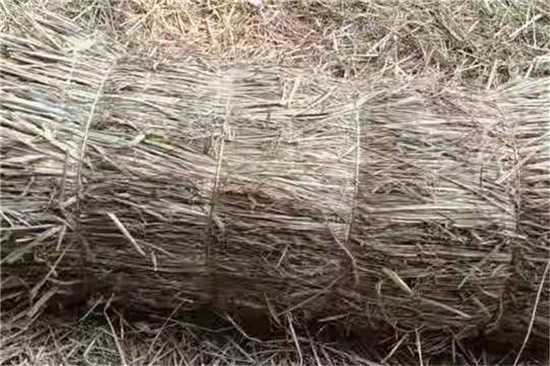 稻夫草支墊在鐵路貨運(yùn)中的平穩(wěn)支撐作用(稻草墊厚度不得小于且壓實(shí)后不得小于10mm) 稻夫草支墊在鐵路貨運(yùn)中的平穩(wěn)支撐作用(稻草墊厚度不得小于且壓實(shí)后不得小于10mm)