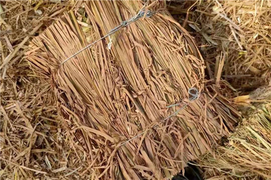 鋼廠鐵路裝載加固防滑草支墊廠家 全國發(fā)貨(唐山鐵路用草支墊廠家) 鋼廠鐵路裝載加固防滑草支墊廠家 全國發(fā)貨(唐山鐵路用草支墊廠家)