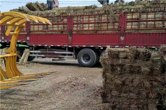 稻夫草支墊在鐵路運輸中的作用與價值(稻夫草支墊廠) 稻夫草支墊在鐵路運輸中的作用與價值(稻夫草支墊廠)