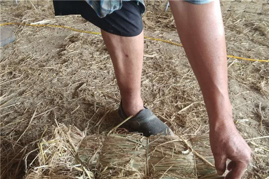 防滑草支墊在鋼廠鐵路裝載中的安全性能(防滑草墊在哪里有賣) 防滑草支墊在鋼廠鐵路裝載中的安全性能(防滑草墊在哪里有賣)