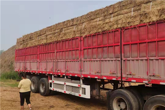 防滑加固稻夫草支墊在鋼廠鐵路火車運(yùn)輸中的應(yīng)用案例(稻草鋪地防滑) 防滑加固稻夫草支墊在鋼廠鐵路火車運(yùn)輸中的應(yīng)用案例(稻草鋪地防滑)